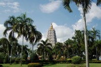 /album/fotogalerie-proc-prave-s-nami/pataya-jpg/